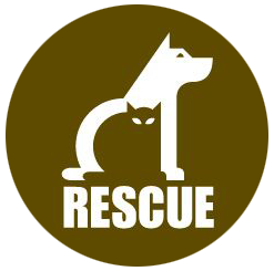 Cat Adoption Central logo. Logo design by randyheil